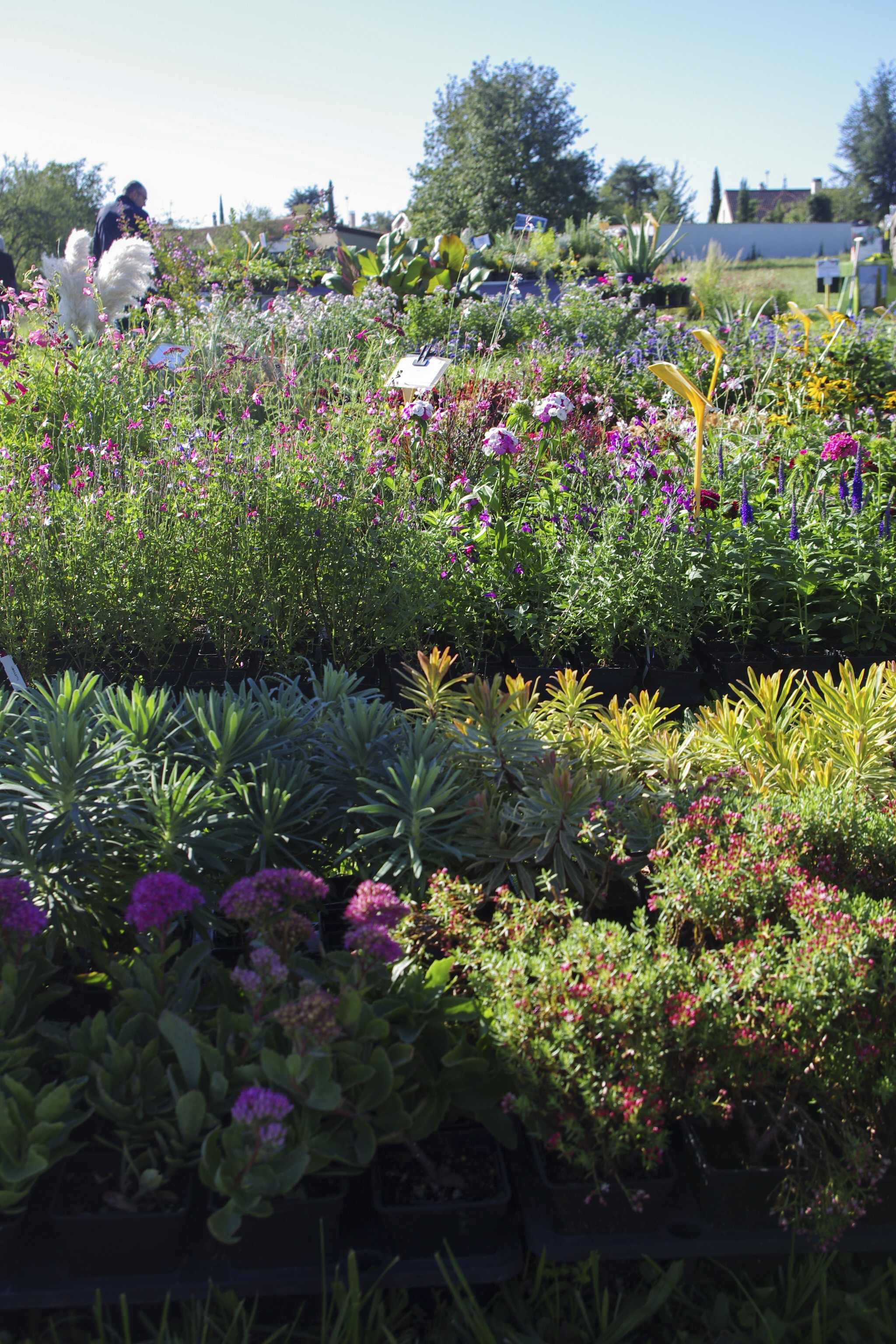 9ème journée des plantes à CHARLY