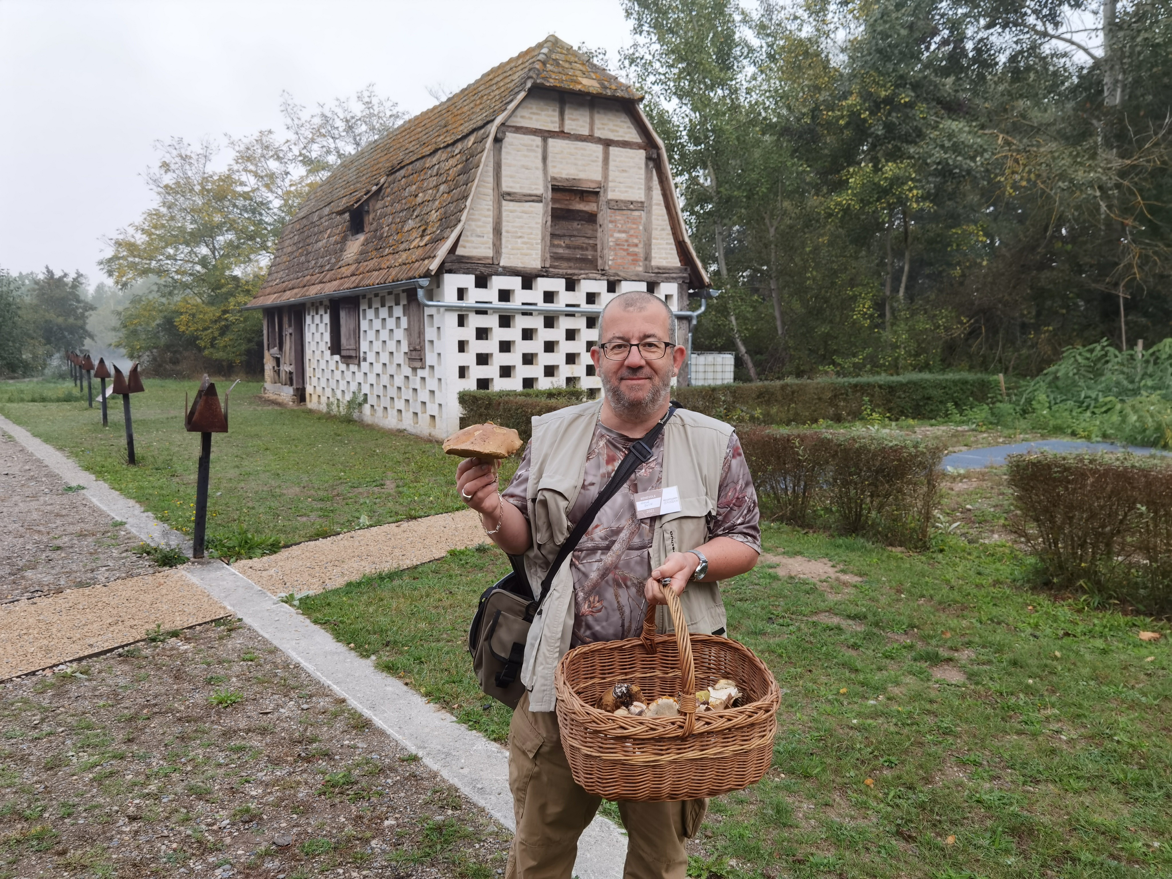 Les champignons