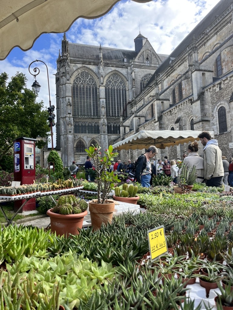 Entre Cours et Jardins