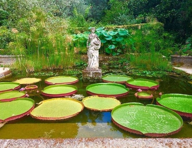 Le Jardin Serre de la Madone célèbre son centenaire