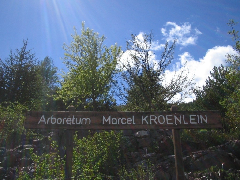 JOURNEE ECOTOURISME MERCANTOUR SUR L'ARBORETUM DE ROURE