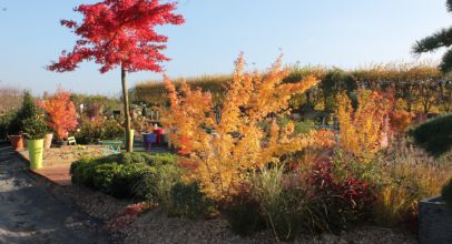  Portes ouvertes d'automne aux pépinières Ripoche