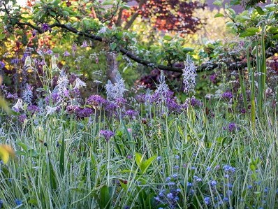 Conférence de l'Institut Européen des Jardins 