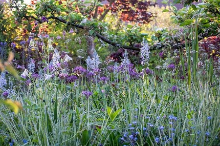 Conférence de l'Institut Européen des Jardins 