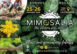 28eme édition de Mimosalia 