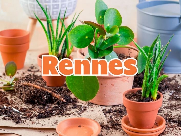 Plantes pour tous à Rennes