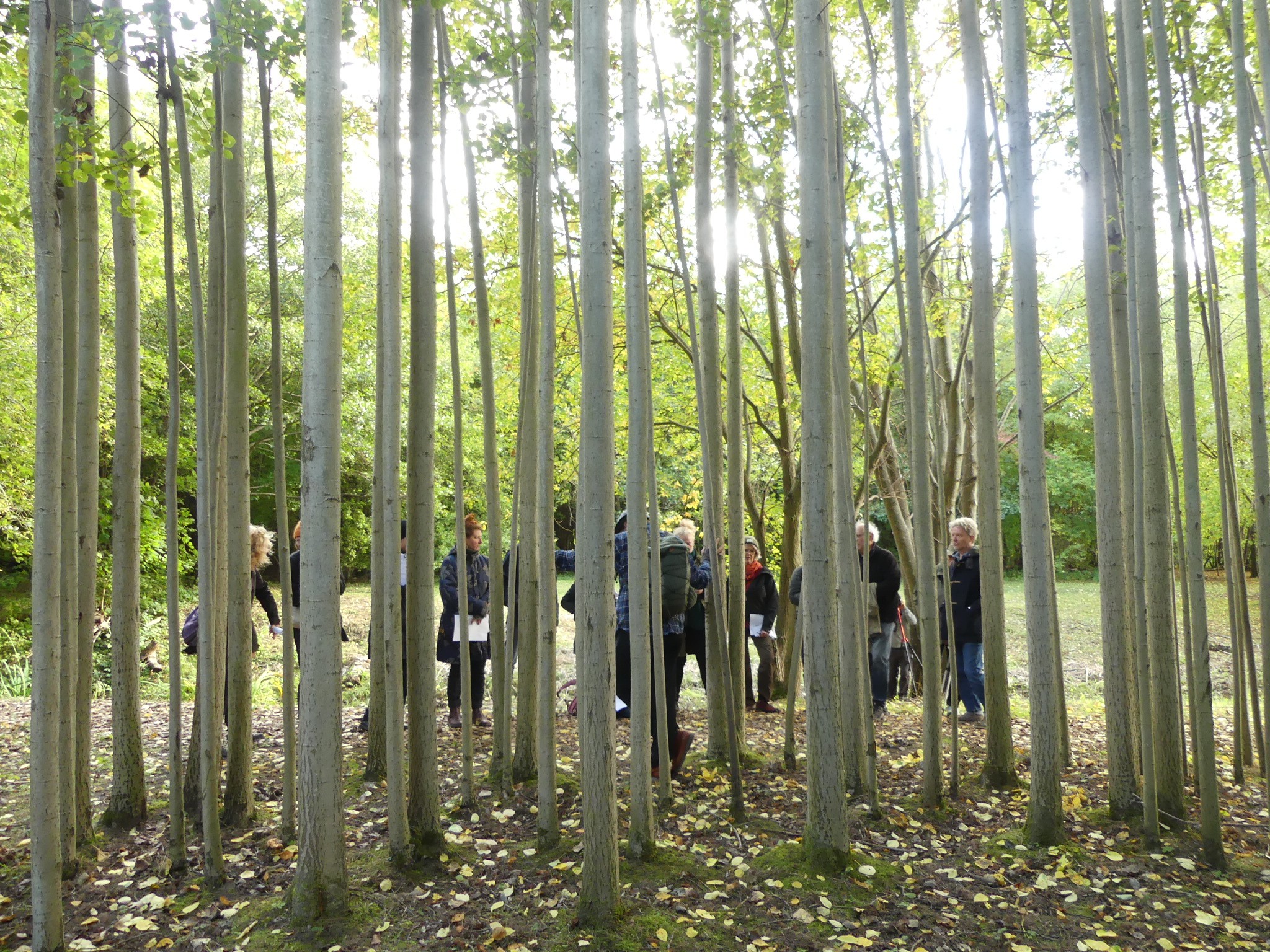 Conférences de l'Institut Européen des Jardins 