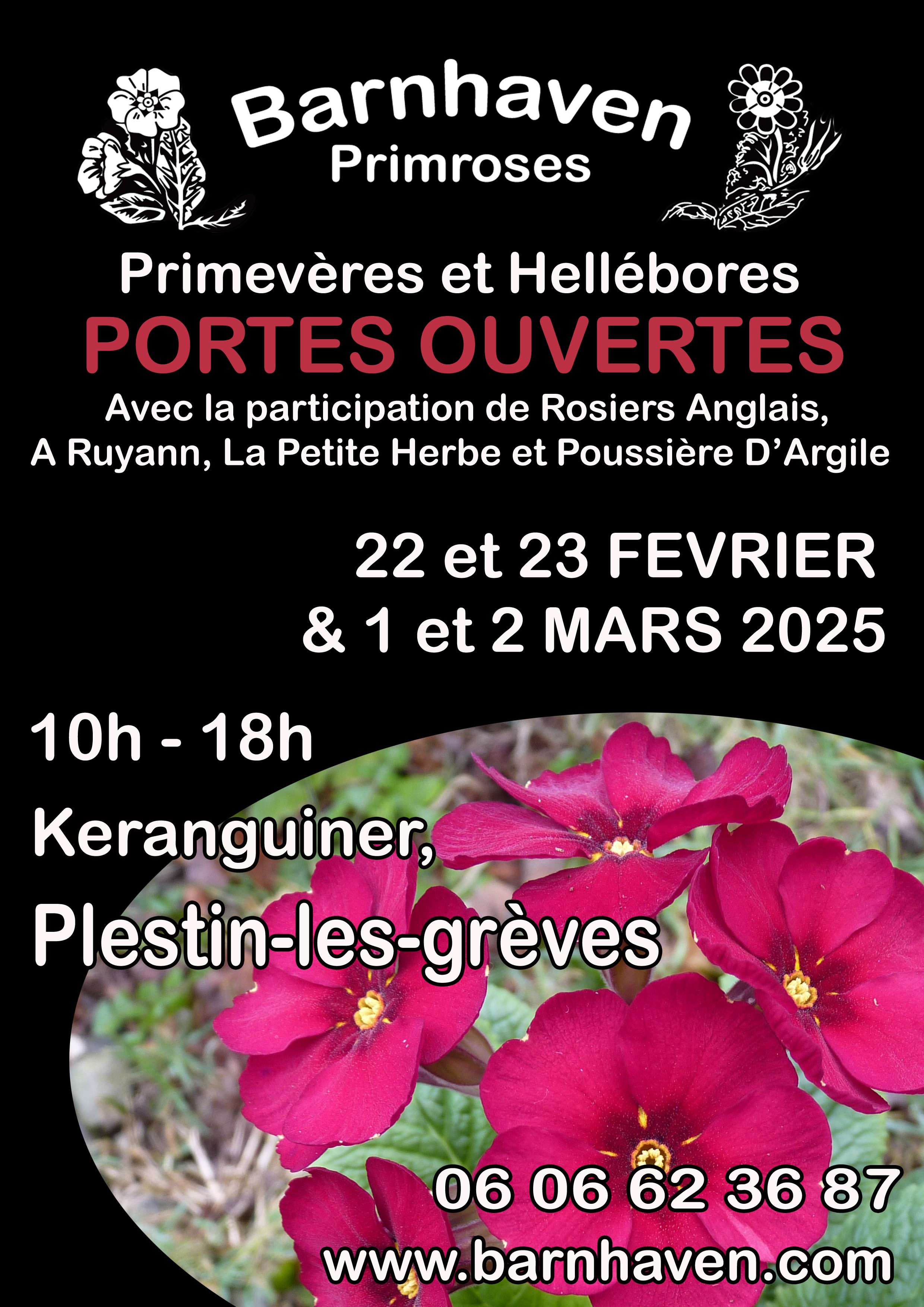 Portes-ouvertes chez Barnhaven Primroses