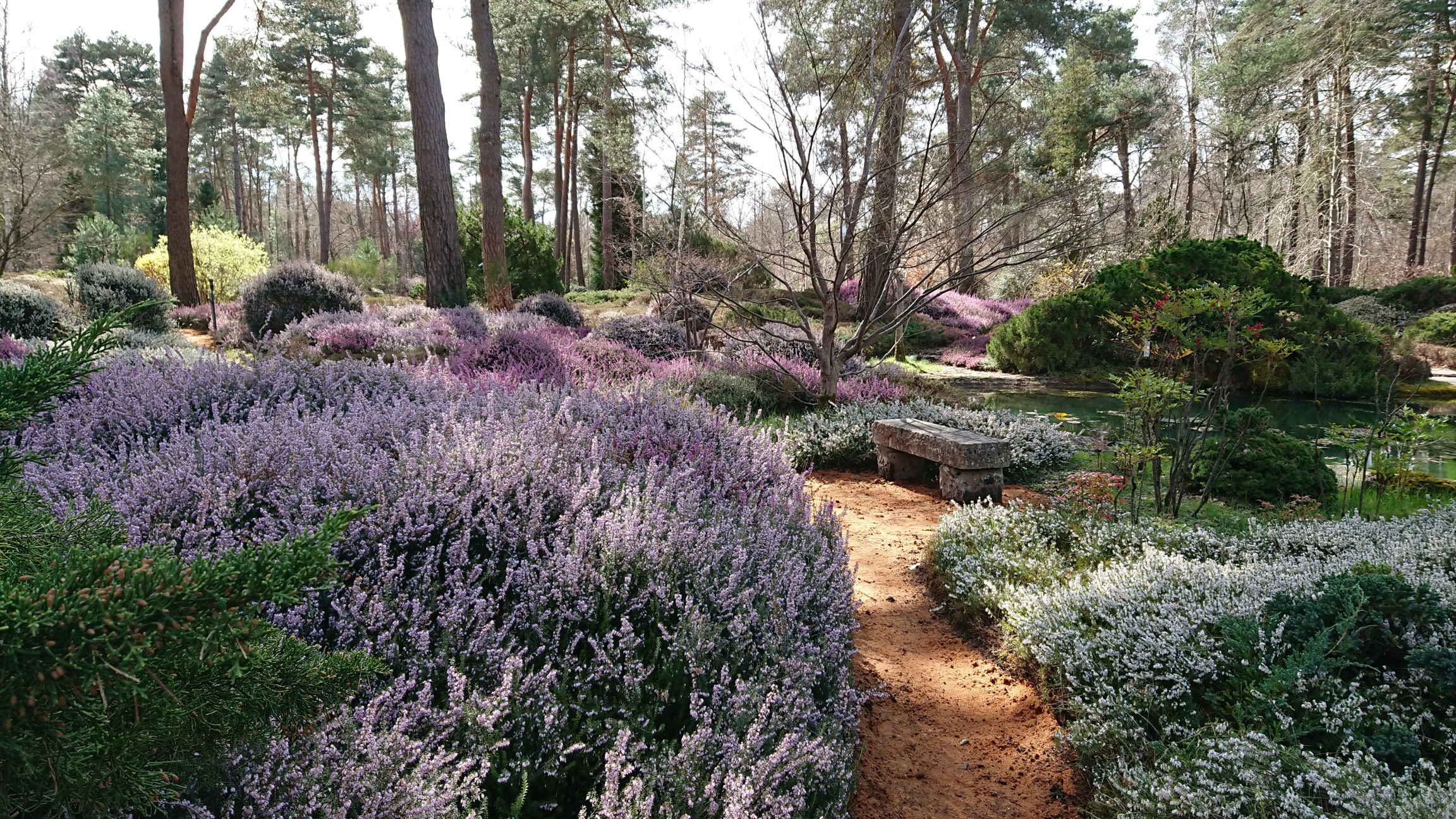 Bienvenue à l'Arboretum