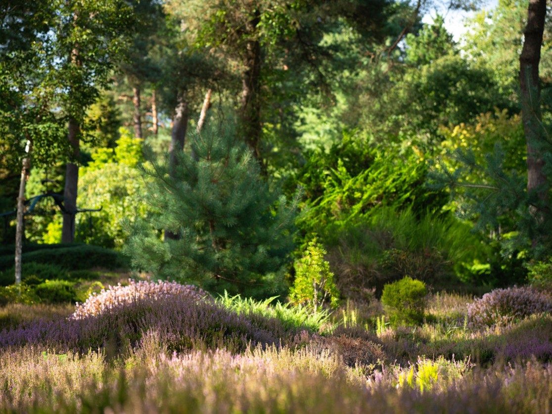 Belles soirées d'été