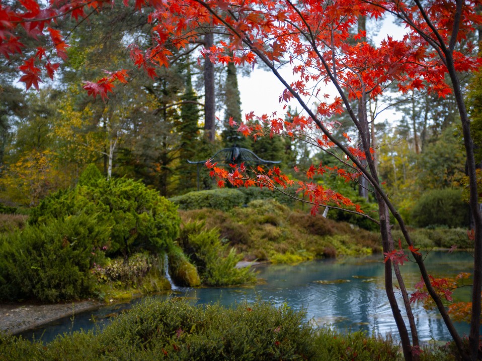 Concours photos Automne