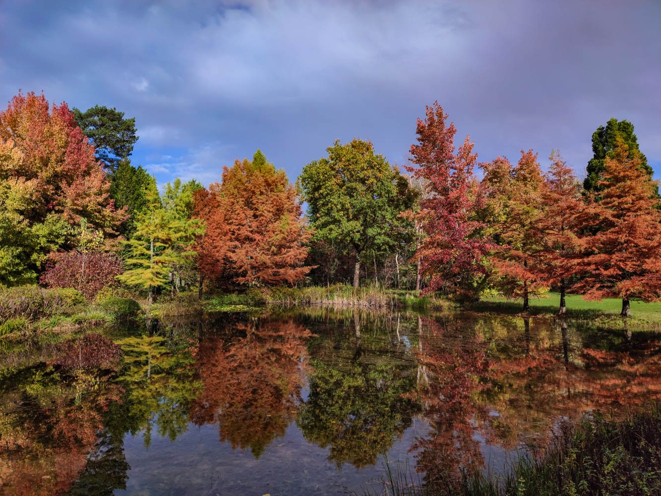 Dimanches d'Automne