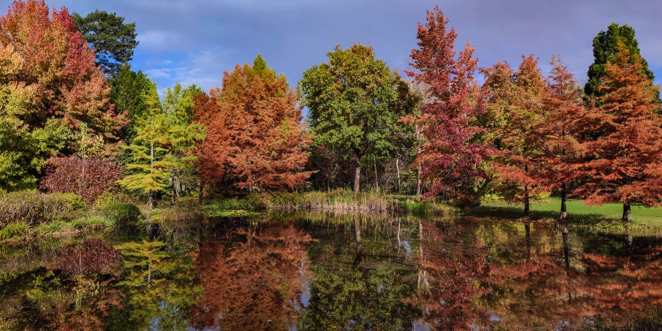 Dimanches d'Automne