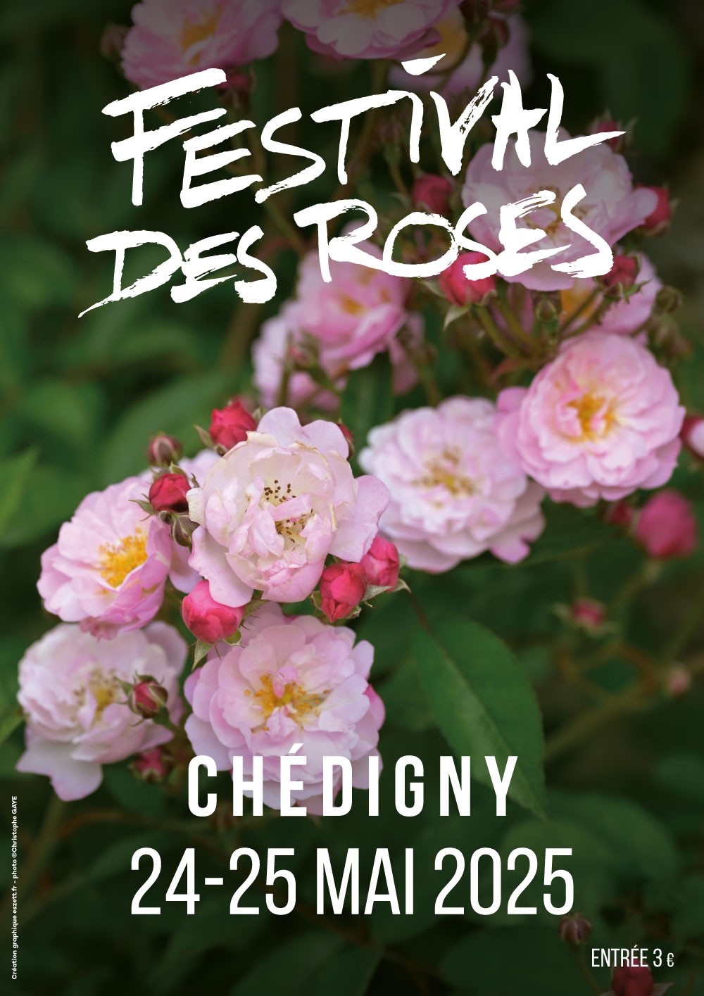 Festival des roses de Chédigny