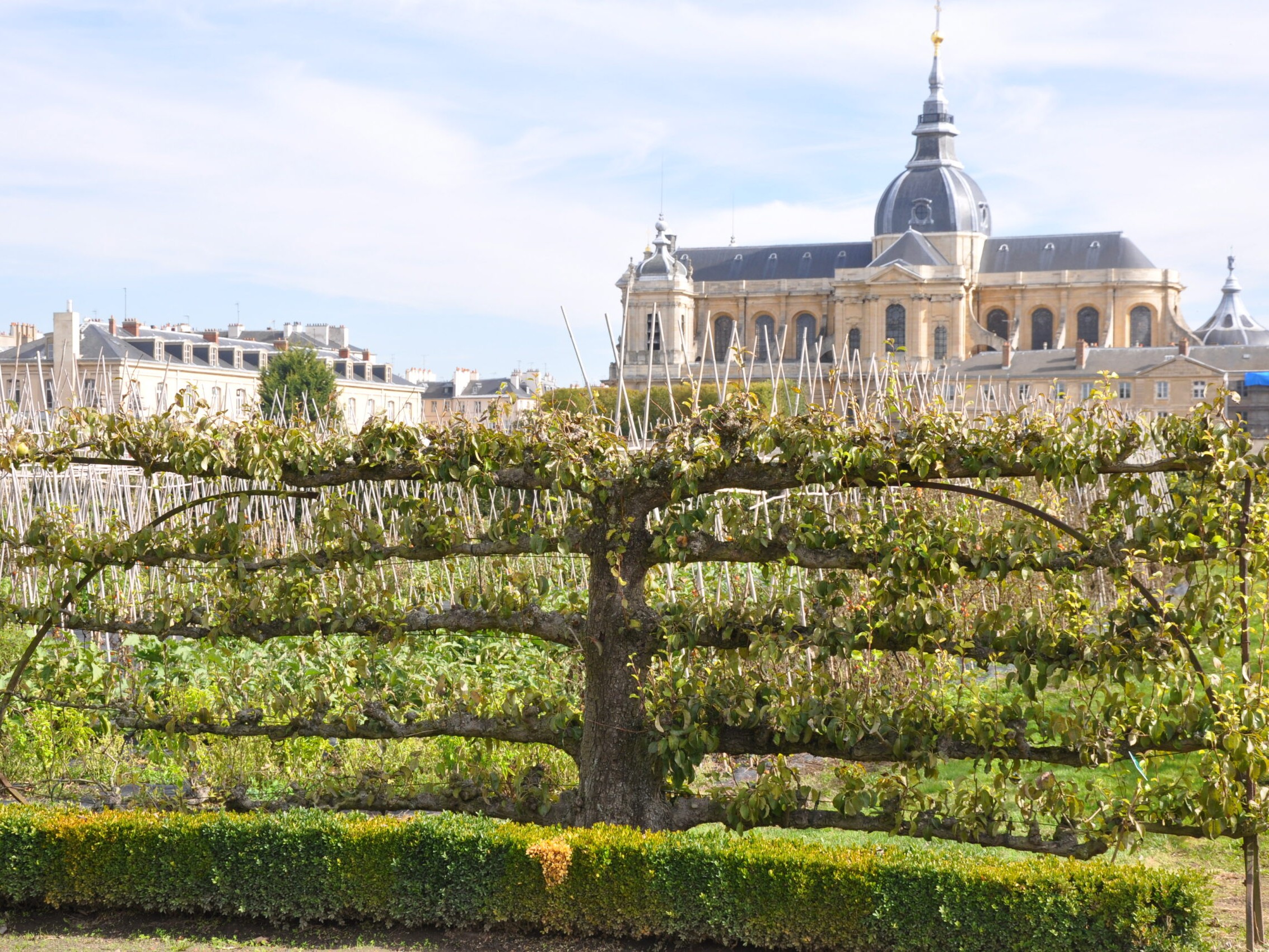 Conférences de l'Institut Européen des Jardins 