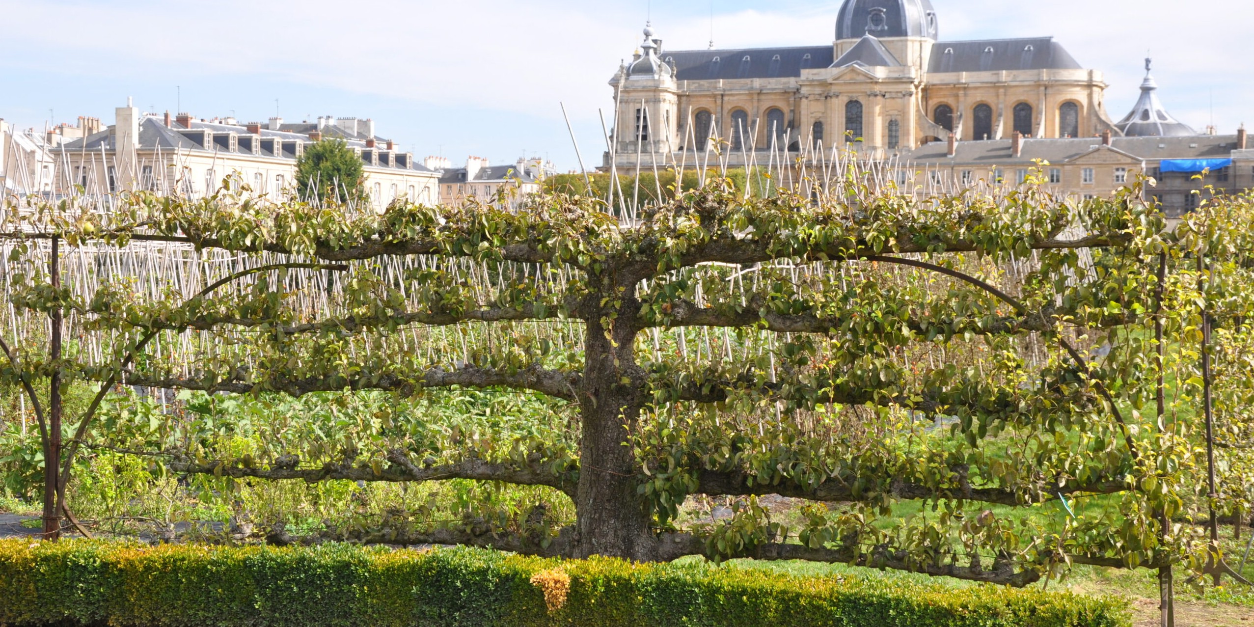 Conférences de l'Institut Européen des Jardins 