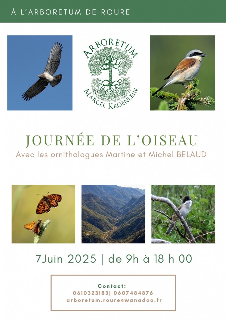 La Journée de l'Oiseau 2025 aura lieu le 7 Juin à l'Arboretum de Roure