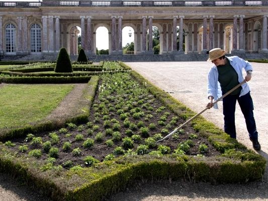 Un parterre éphémère pour célébrer les océans  au Grand Trianon