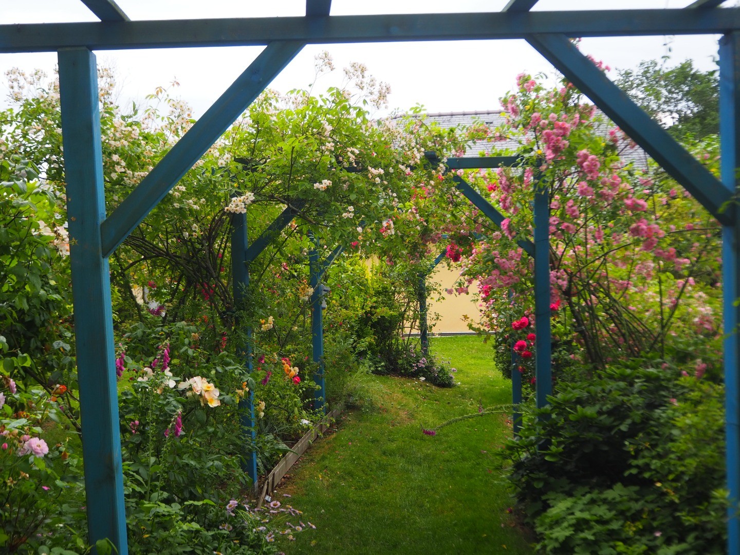 le jardin de danyland et ses hortensias