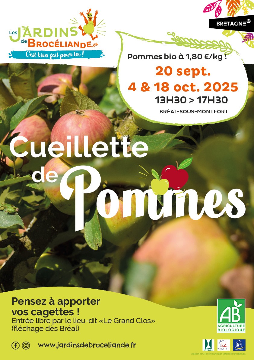 Cueillette de pommes biologiques