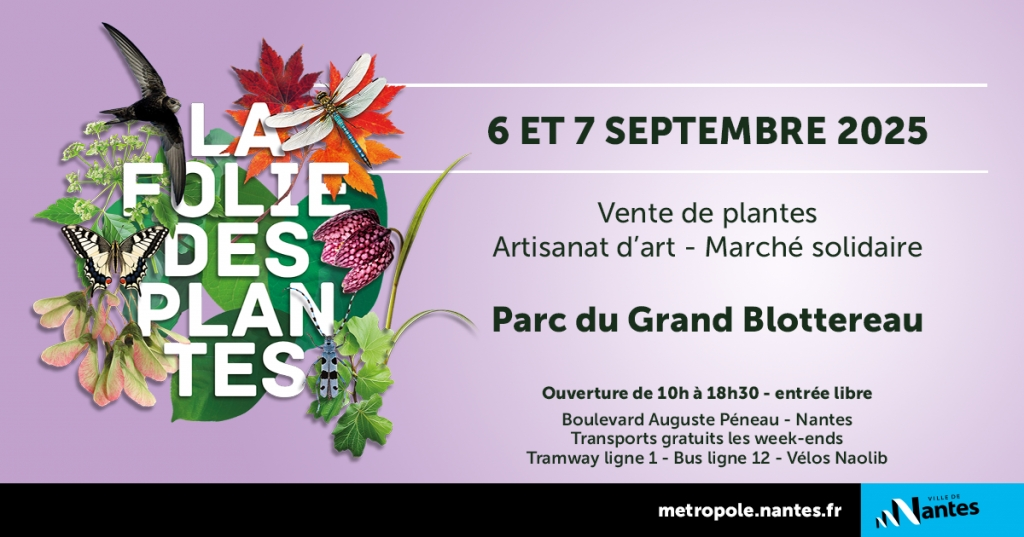  LA FOLIE DES PLANTES