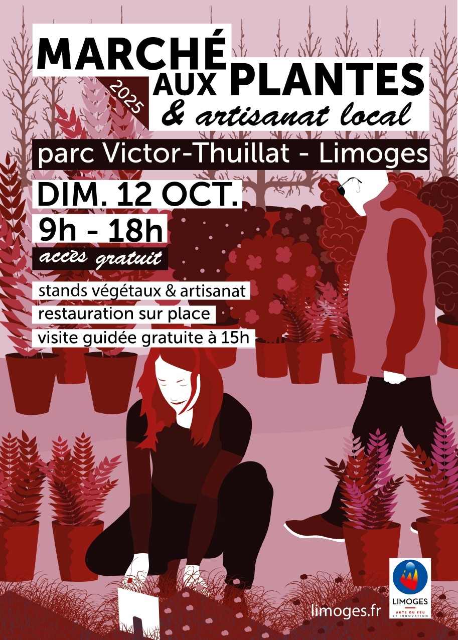 Marché aux plantes et artisanat local