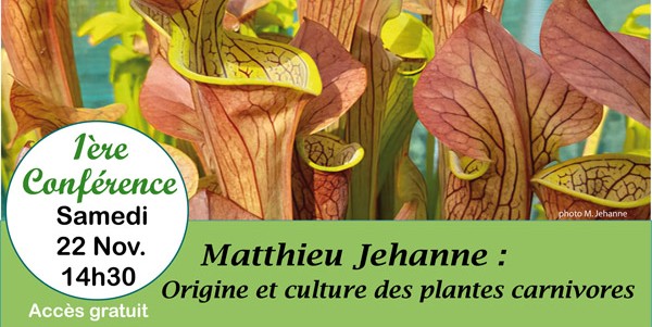 Origine et culture des Plantes carnivores par Matthieu Jehanne