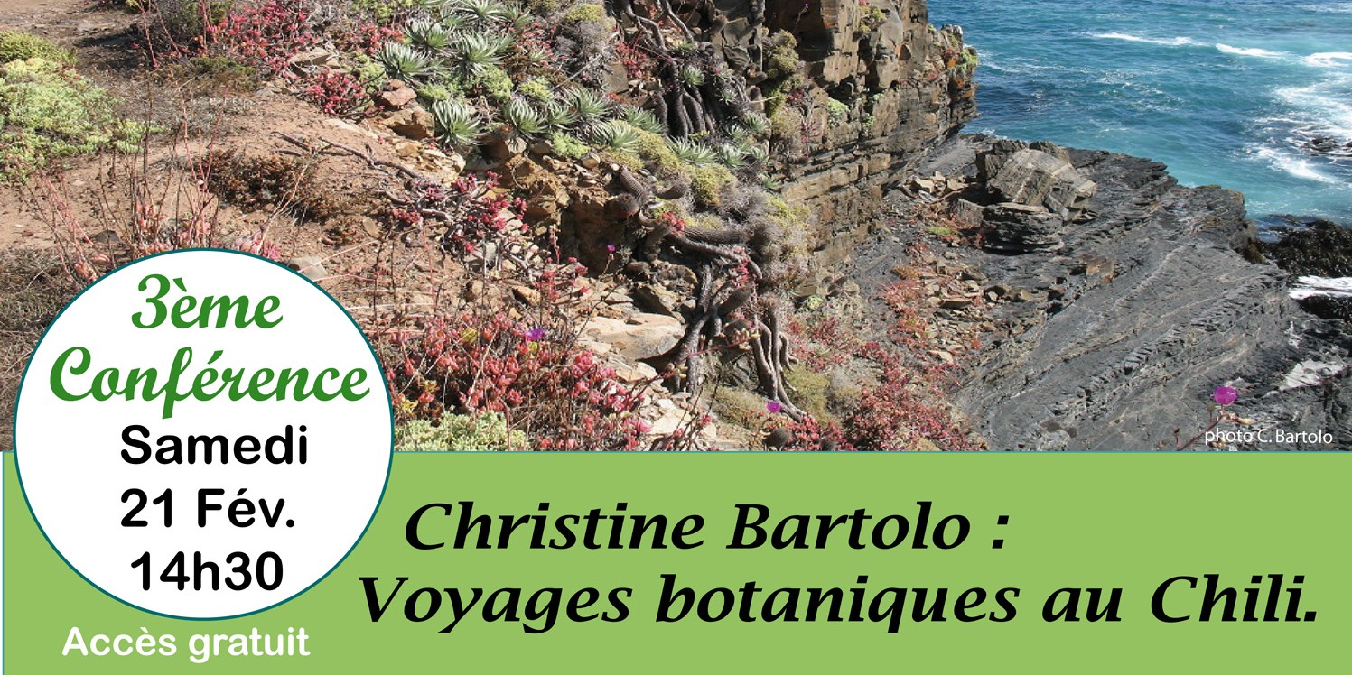 Voyages botaniques au Chili par Christine Bartolo