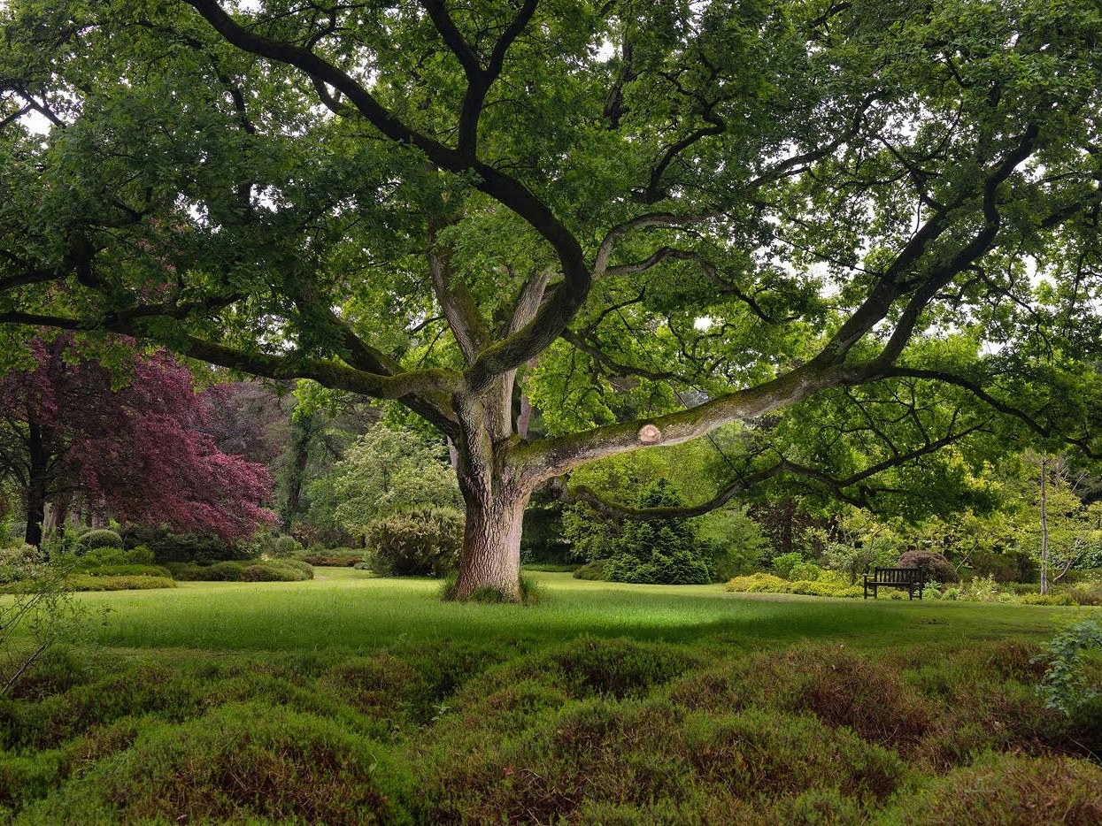 Journées Européennes du Patrimoine