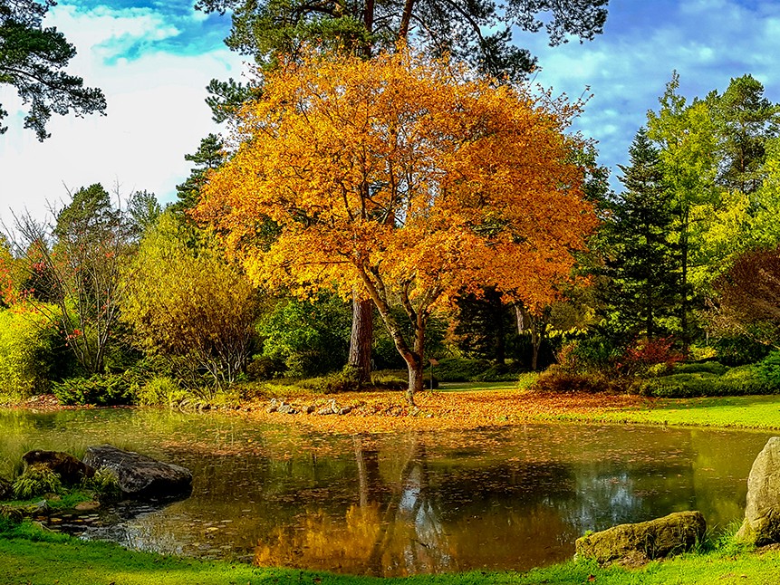 Concours photos "Automne"