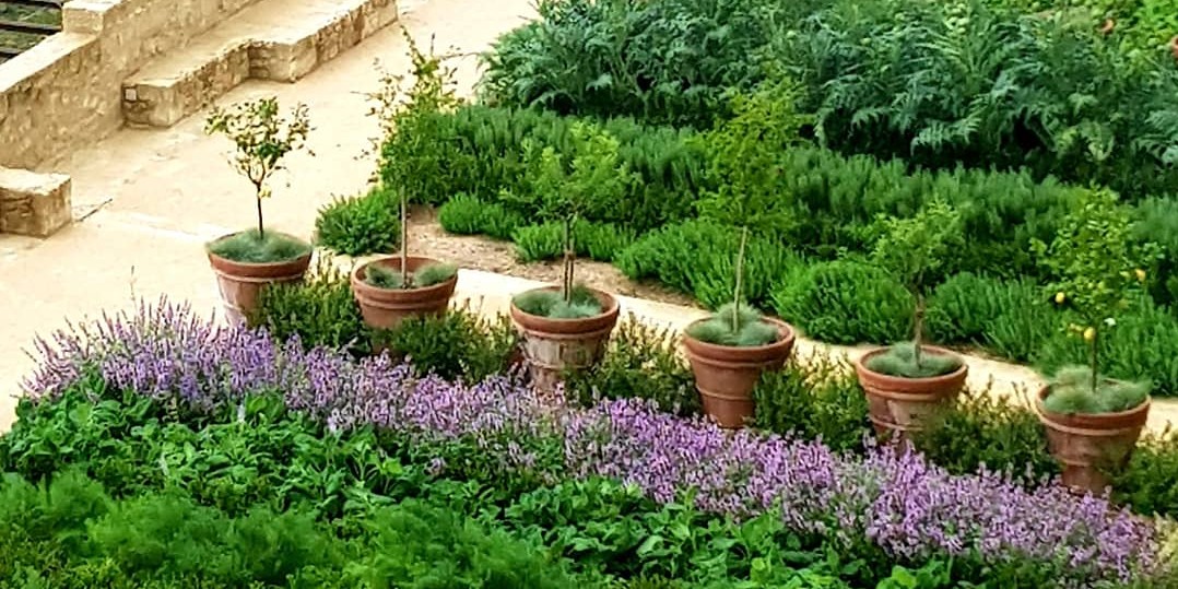 Conférence de l'Institut Européen des Jardins 