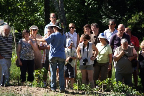 Visite commentée des jardins du mas des faïsses