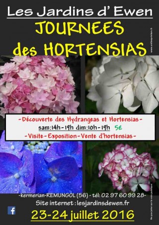 L'hortensia dans tous ses états