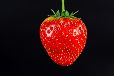 Cours de photographie en studio sur les fruits