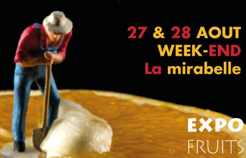 Week-end événement sur la mirabelle