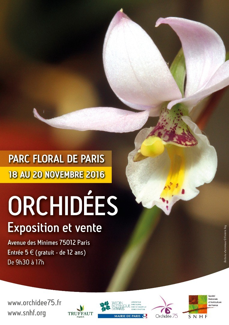 Exposition Orchidées Parc Floral de Paris nov.2016