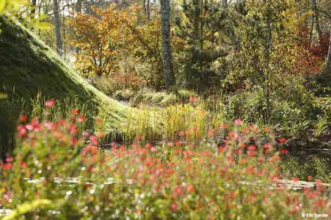 Jardins   en   Art,   la   première   galerie-librairie   parisienne   dédiée   à   l'art    et   au   jardin