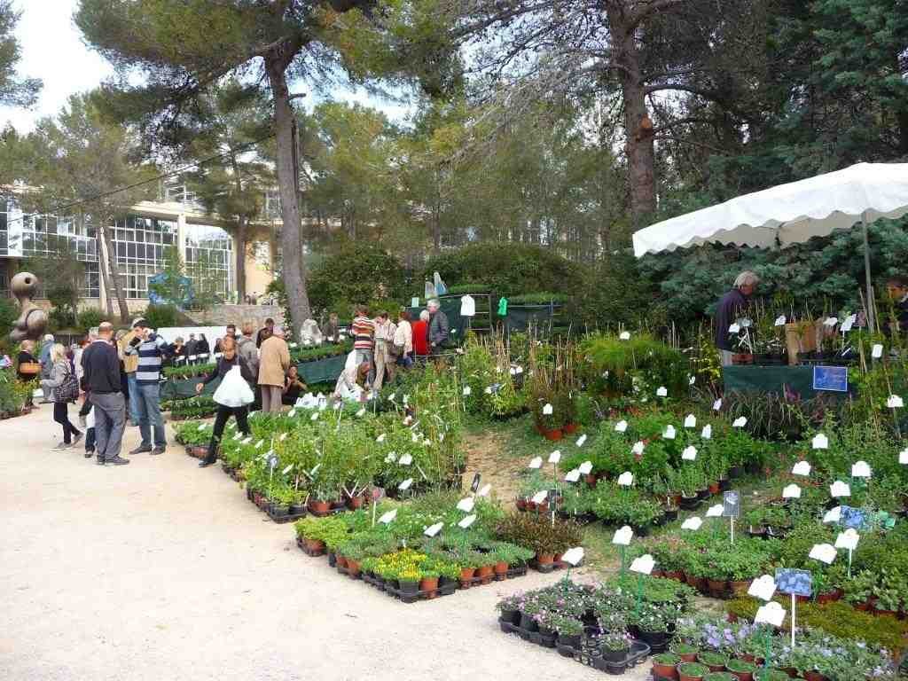 28e Fête des Jardins de Sophia Antipolis