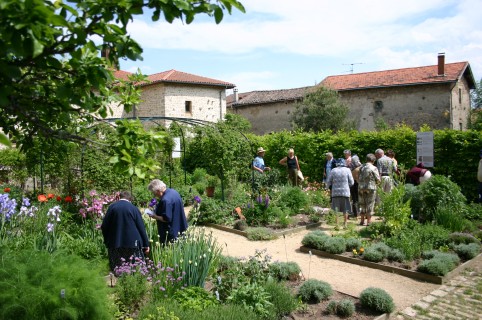 Atelier taille de rosier