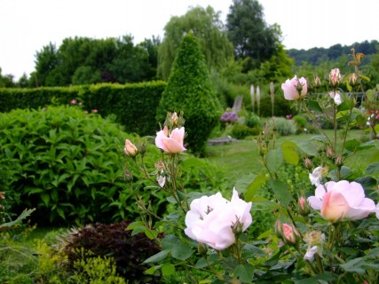 Fête de la rose verte