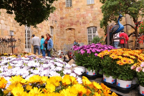 Fête des plantes et du Massif