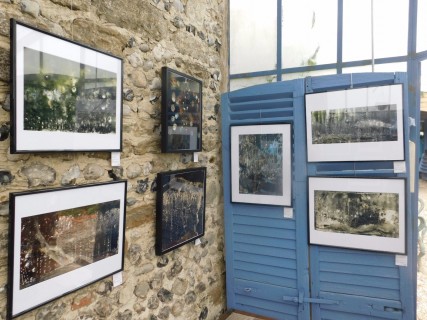 exposition photographie sur le thème de la glace <<Le palais des glaces>>