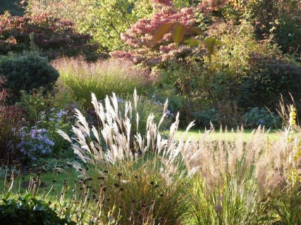 Ouverture du 'Jardin La Maison' aux bénéfices de l'association Jardin Art et Soin.