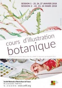 Cours d'illustration botanique