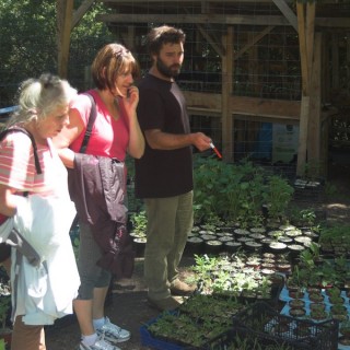 Vente de plants à la ferme